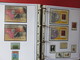 Delcampe - ESPAGNE - ALBUM N°3 - Année 1996 (partielle) à 2005 (complète) - TP** Et BF** - Quelques Carnets - Collections