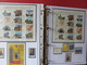 Delcampe - ESPAGNE - ALBUM N°3 - Année 1996 (partielle) à 2005 (complète) - TP** Et BF** - Quelques Carnets - Collections