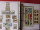 Delcampe - ESPAGNE - ALBUM N°3 - Année 1996 (partielle) à 2005 (complète) - TP** Et BF** - Quelques Carnets - Collections