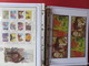 Delcampe - ESPAGNE - ALBUM N°3 - Année 1996 (partielle) à 2005 (complète) - TP** Et BF** - Quelques Carnets - Collections