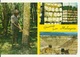 MALAYSIA - 40c LEMURIEN Sur CARTE POSTALE RUBBER TAPPER RUBBER SHEETS - Malaysia (1964-...)