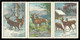 Set Of 6 German Poster Stamp Reklamemarke Vignette Erinnofili Publicité DEER, HIRSCH, CERVO, CERF, Set 1 - Very Rare ! - Erinnophilie