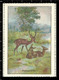 Delcampe - Set Of 6 German Poster Stamp Reklamemarke Vignette Erinnofili Publicité DEER, HIRSCH, CERVO, CERF, Set 1 - Very Rare ! - Erinnophilie