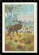 Set Of 6 German Poster Stamp Reklamemarke Vignette Erinnofili Publicité DEER, HIRSCH, CERVO, CERF, Set 2 - Very Rare ! - Erinnophilie