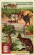 Delcampe - 0984  Liebig 6 Cards- C1910 Australie-Nouvelle-Galles-Sydney-Or- Kimberley-Tribu Aruntas-Kangourou-Emoe-Tasmania - Liebig