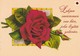 Postal Stationery - Roses - Flowers - Finnish Cancer Patients - Suomi Finland - Postage Paid - Entiers Postaux