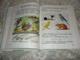 Russian Textbook - In Russian - Textbook From Russia - Pleshakov A. The World Around Us. Pupil For Grade 2 Primary Schoo - Langues Slaves