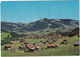 Gstaad - Les Pucelles - Dent De Savigny - Hugeligrat -  (Suisse/Schweiz) - Gstaad