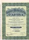 Action Ancienne - Comptoirs Africains Antverpia "CAFRIA" - Titre De 1928 - N° 017148 - Afrique