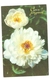 K. FLORA Flowers White Peonies Postcard 1974 USSR Soviet Russia - Fleurs