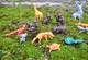 Rare Lot De Petites Figurines Animaux Disney Et Autres Publicitaires La Roche Aux Fées - Jouets Anciens