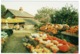 Ref 1262 - Postcard - Pumpkin Cottage - 4 Top Road - Slindon Arundel - Sussex - Autres & Non Classés