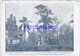 106326 ARGENTINA FIESTA NACIONAL DEL ARBOL TREE LA ISLA SARMIENTO 1917 BREAK NO POSTAL POSTCARD - Argentine