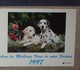 Petit Calendrier Poche 1997 Lavigne PTT Facteur  La Poste Chien Dalmatien - Small : 1991-00