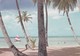 TRINIDAD & TOBAGO. COCONUT TREES, BEACH & SEA. NORMAN PARKINSON COLOR PHOTOGRAPH. CIRCULEE 1969 A BUENOS AIRES  - BLEUP - Trinidad