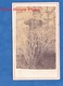 2 Photos Anciennes CDV Vers 1870 - Homme Jardinier ? Herboriste ? Alchimiste ? à Identifier - Arbre Tree Métier Plante - Anciennes (Av. 1900)