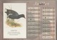 Delcampe - CALENDRIER THEME OISEAUX DES HAUTS DE FRANCE - TEXTE ET ILLUSTRATIONS DE PHILIPPE VANARDOIS ( WASQUEHAL 2002 ) A VOIR - Big : 2001-...