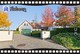 Postcard, REPRODUCTION, Municipalities Of Belgium, Streets Of Flobecq 1 - Cartes Géographiques