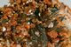 Mineral - Vanadinite Su Barite (Monastir, Marocco) - Lot. 5 - Minerals