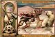 0438   Liebig 6 Cards--C1895 Game Hunting-Chasse-Groenland- Ijsbeer-Indie Tijgerjacht Met Olifant-Schotland-tirol- - Liebig