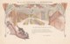 De La Fontaine Fable Set In Benedictine Liquor Advertisement C1900s Vintage Postcard, Rats In Cellar - Advertising