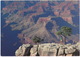 Grand Canyon - High Plateau Of The Rim Country - (USA) - USA Nationale Parken