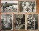 Lot De 7 Cartes Postales / Vieux Metiers / Photo Fabrice Bornes - Farmers