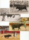 Stierengevecht / Toros Y Toreros / Corrida Du Toros ------ 12 Cards - Corrida