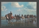 Belgische Kust - Paarden, Paardrijden - Horseback Riding - Autres & Non Classés