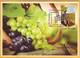 2018 Moldova Moldavie Moldau Maxicard  Wine Tourism. Wine. Grapes. Vineyard. Wine Barrel - Moldavie