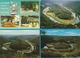 Delcampe - BELGIË Bastogne, Houffalize, Botassart, Lot Van 60 Postkaarten. - 5 - 99 Cartes