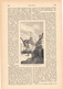 Delcampe - A102 117 - Bad Wimpfen Friedrich Der Große 2 Artikel Mit Ca. 11 Bildern Von 1886 !! - Sonstige & Ohne Zuordnung