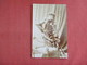 RPPC  Female Fashion    >ref 3135 - Fashion