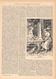 118 - Deutsches Mittelalter 1 Artikel Mit Ca. 7 Bildern Von 1888 !! - Sonstige & Ohne Zuordnung