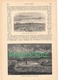 A102 150 Adolf Erik Nordenskiöld Polarforschung Vega 1 Artikel Mit Ca.18 Bildern Von 1886 !! - Altri & Non Classificati