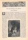 A102 155 Russland Zarenstadt Sankt Petersburg 1 Artikel Mit 12 Bildern Von 1893 !! - Contemporary Politics