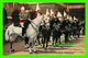 LONDON, UK - CHANGING THE GUARD, HORSE GUARDS PARADE BUCKINGHAM PALACE - LANSDOWNE PUBLISHING CO LTD - - Buckingham Palace