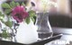 IKEA * FURNITURE STORE * SWEDEN * SWEDISH * FLOWER * PLANT * VASE * Ikea 2010 08 Fr E * France - Cartes Cadeaux