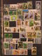 Delcampe - SPAIN - Large Quantity Of Stamps In Stockbook (DC100) - Collections (en Albums)