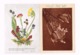 Lot De 8 Cartes.Fleurs. - Fleurs