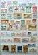 Delcampe - China/Japan/Asia/Korea/Hong Kong Collection In 3 Stockbooks,mixed Quality! - Collezioni (in Album)