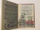 PASSPORT   REISEPASS  PASSAPORTO   PASSEPORT  1938. ROYAUME DE YOUGOSLAVIE -VISA : ITALIA , FRANCE - Historical Documents