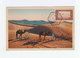 Sur Carte Postale Timbre 70 C Rouge Cachet Ambulant Hexagonal Tamanrasset Contantine 1951. (1047x) - Lettres & Documents