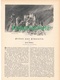 A102 185 Limousin 1 Artikel Mit 11 Bildern Von 1893 !! - Autres & Non Classés