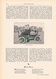 A102 205 Der Automobilismus Daimler Mercedes 1 Artikel Mit 3 Bildern Von 1902 !! - Autres & Non Classés