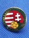 Enamel Pin Badge Hungary Football Federation Magyar - Football