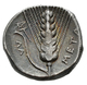 Lukanien: Metapont, AR Stater Ca. 330-290 V. Chr., 20 Mm, 7,93 G, HN Italy 1582, Prächtige Patina, F - Griechische Münzen