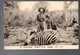 CONGO - ENTIER STIBBE 43 - VUE 52 CHASSE ZEBRE - NEUF- PL8 - Entiers Postaux