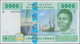 Cameroon / Kamerun: Set Of 5 Notes Central African States Containing 4x Cameroon (letter "U") 1000, - Cameroun