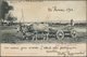 China - Incoming Mail: French Levant, 1903. Picture Post Card Of ‘Buffalo And Cart, Constantinople' - Other & Unclassified